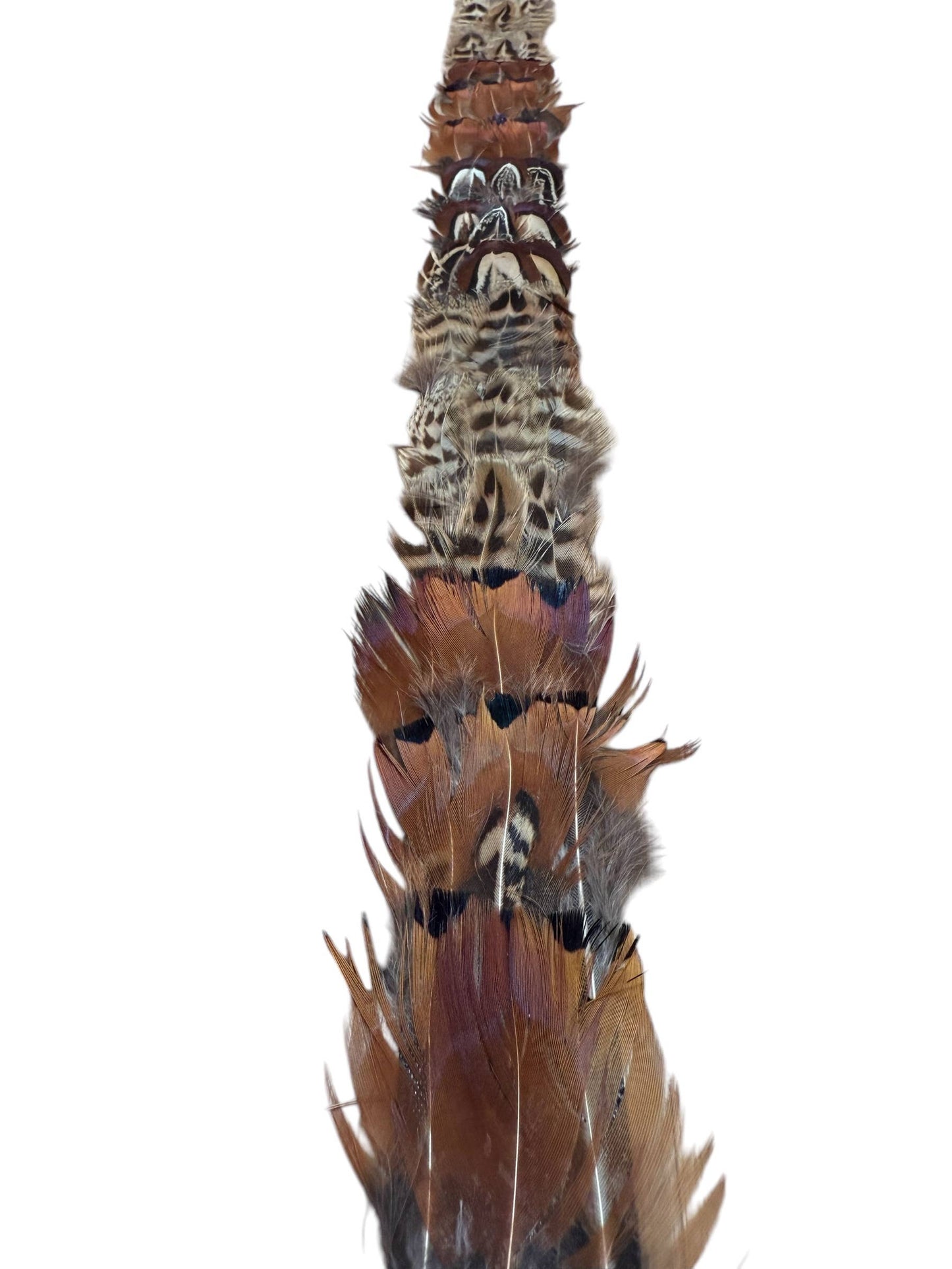 Feather hat band with strap