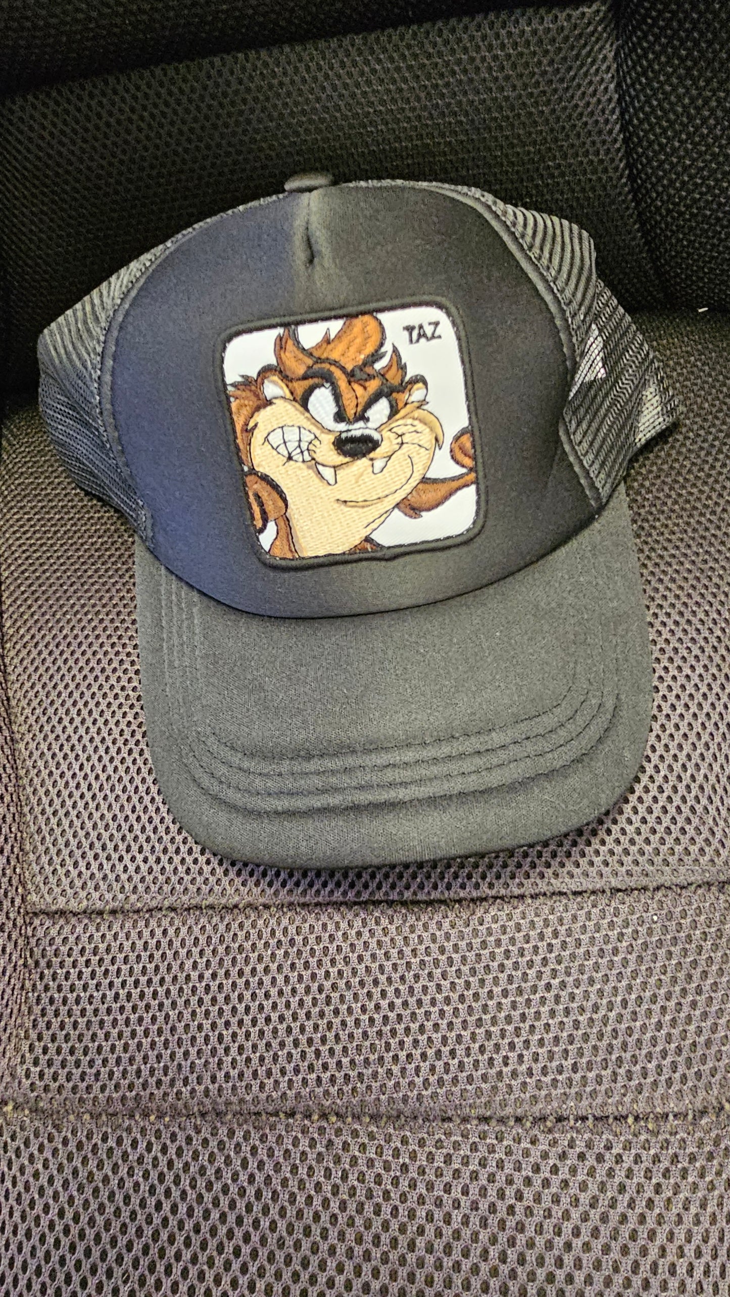 Animal Kingdom Caps