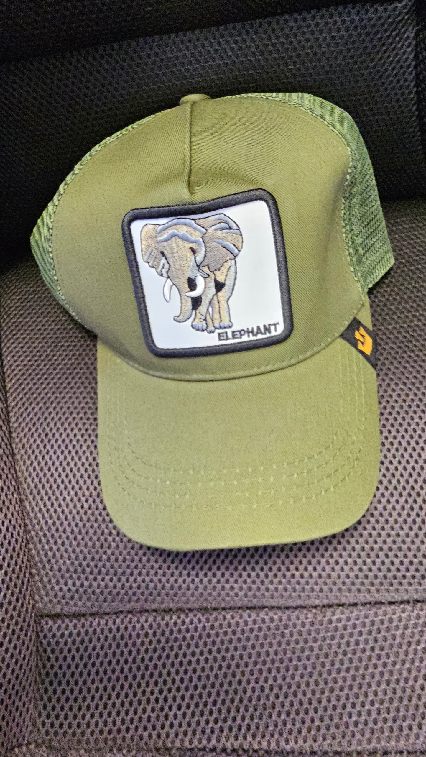 Animal Kingdom Caps