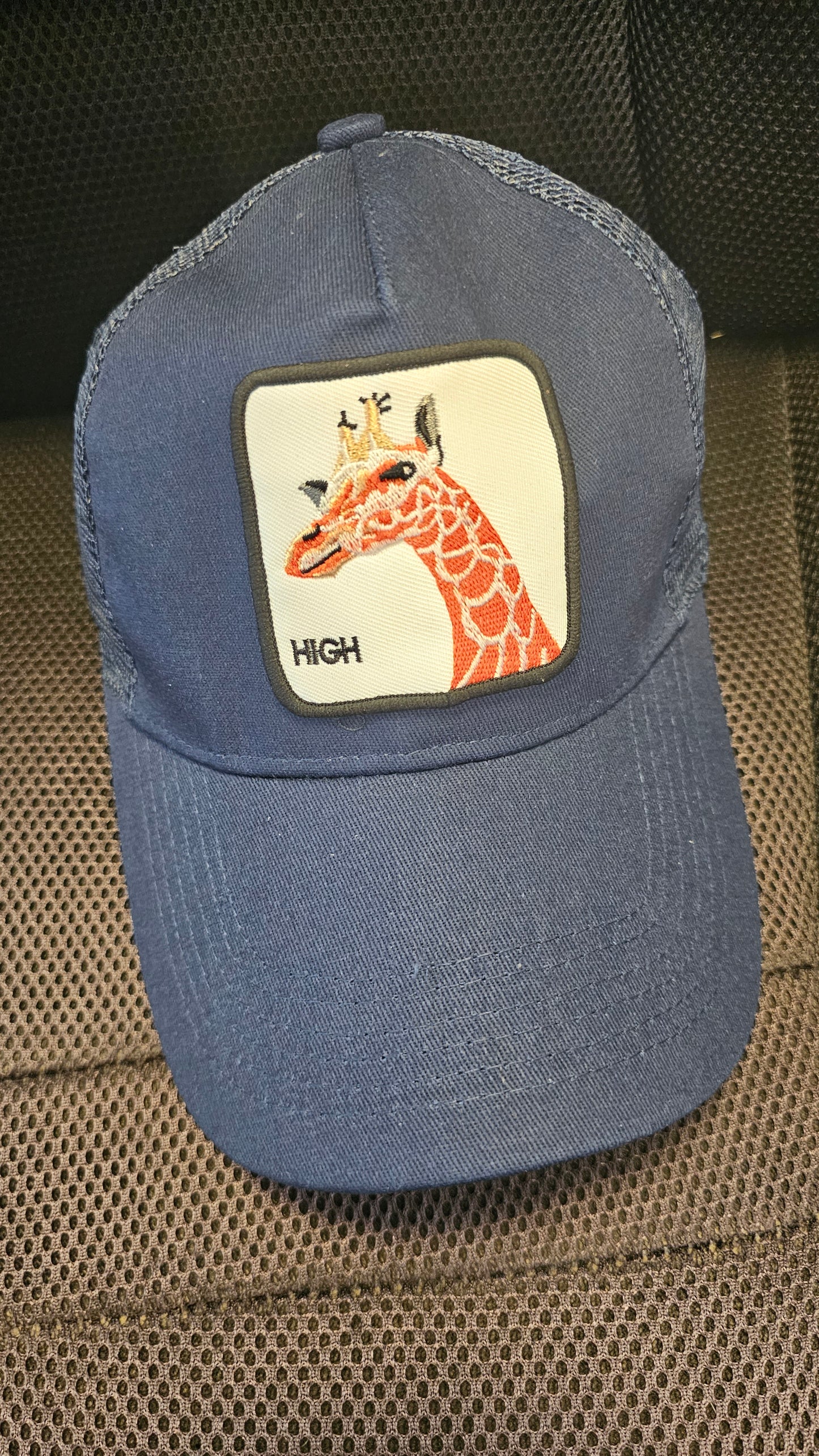 Animal Kingdom Caps