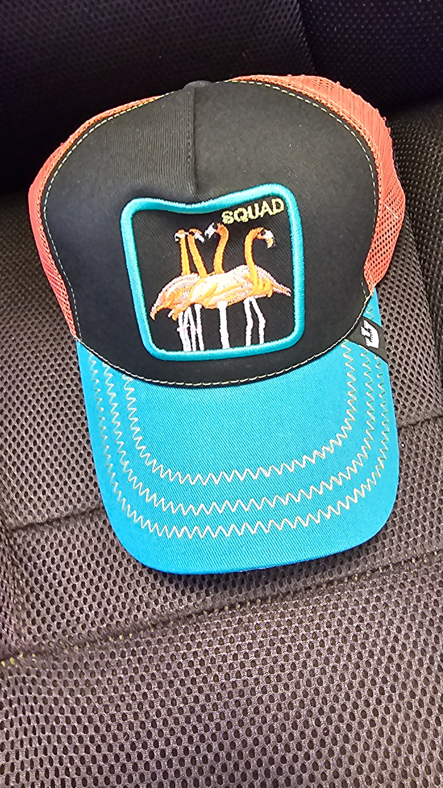 Animal Kingdom Caps