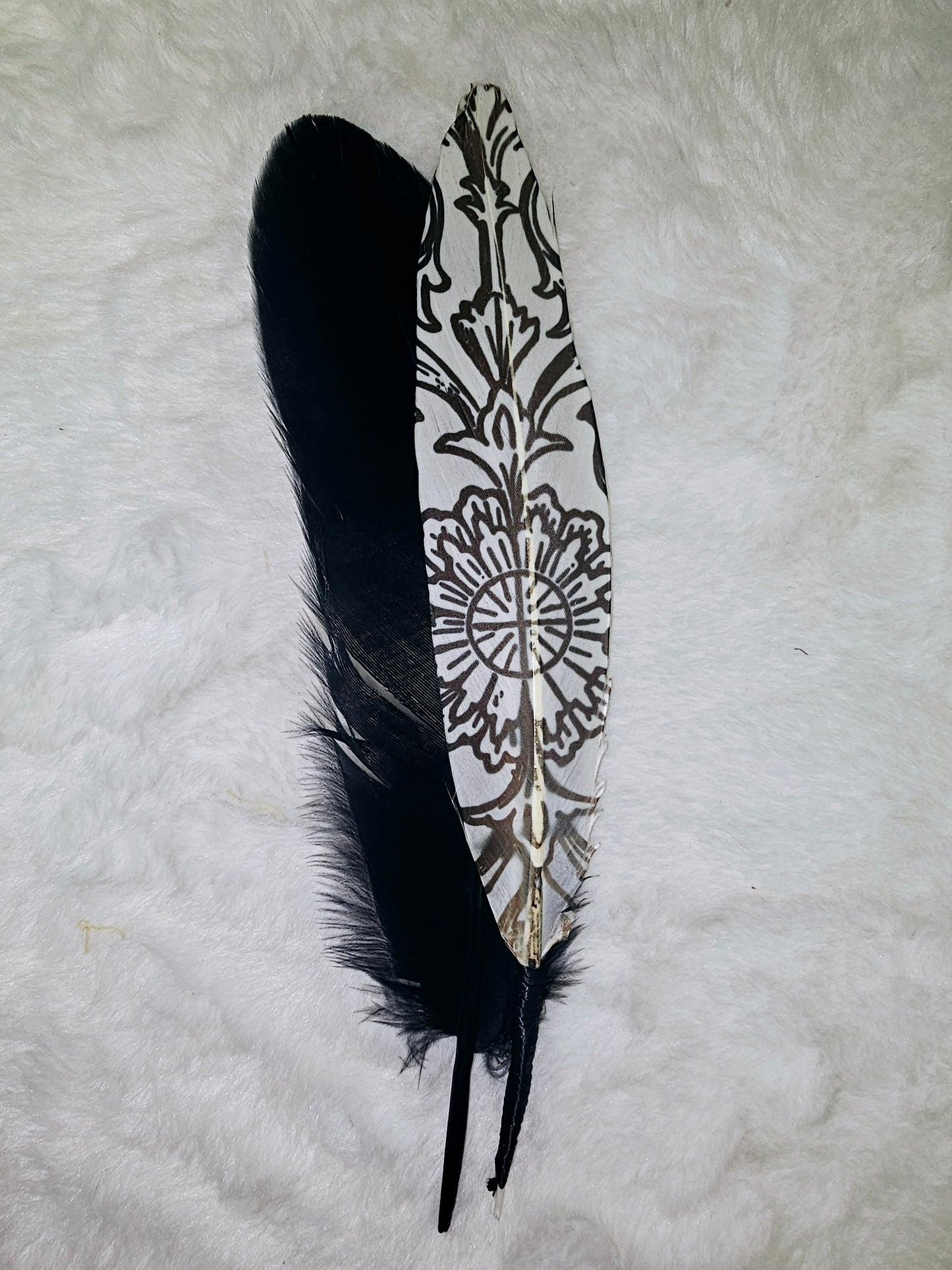 Fancy Feathers