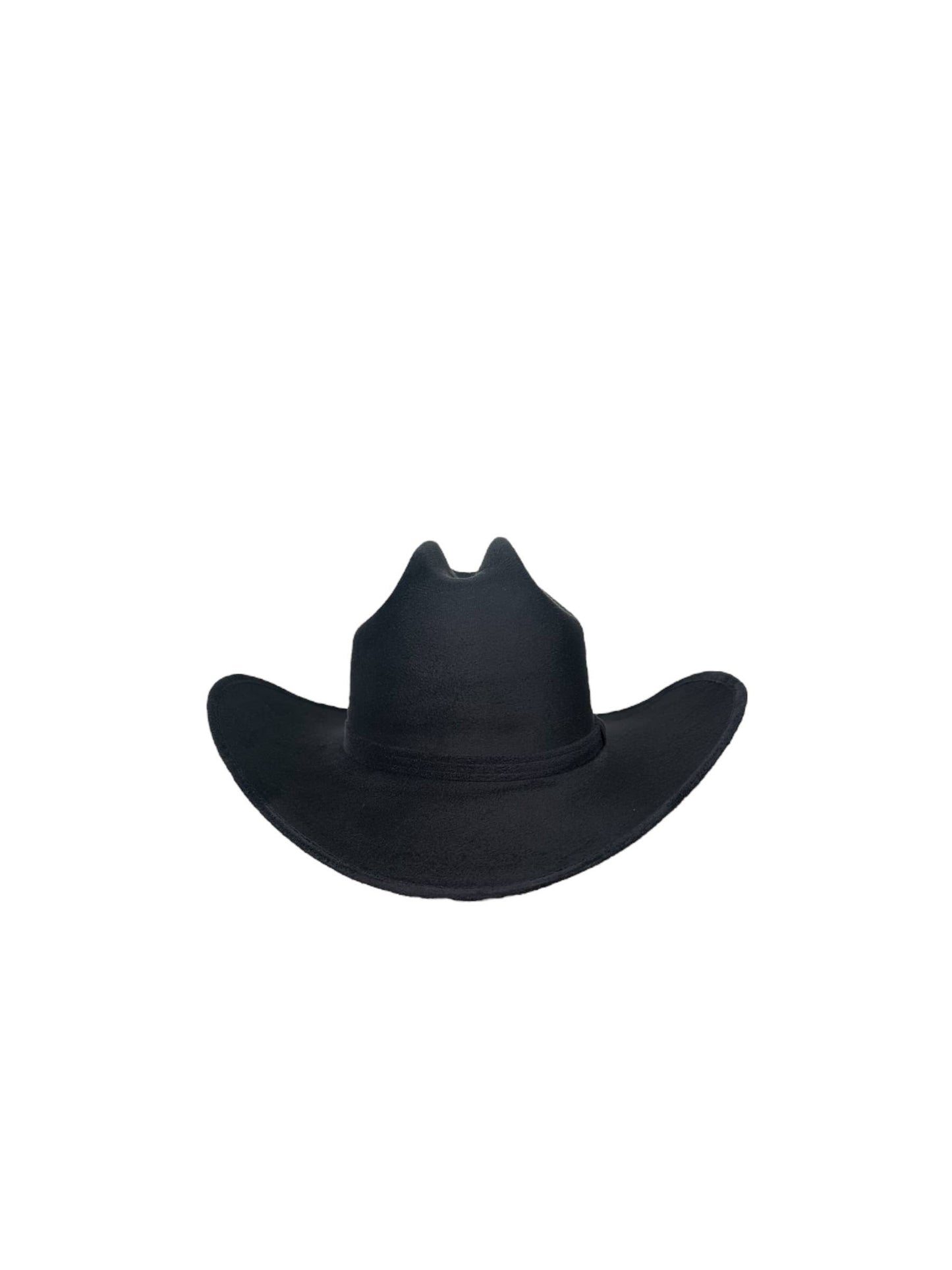SMALL Adult  Yellowstone Hat