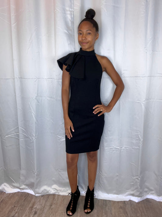 Night at the Museum Dress