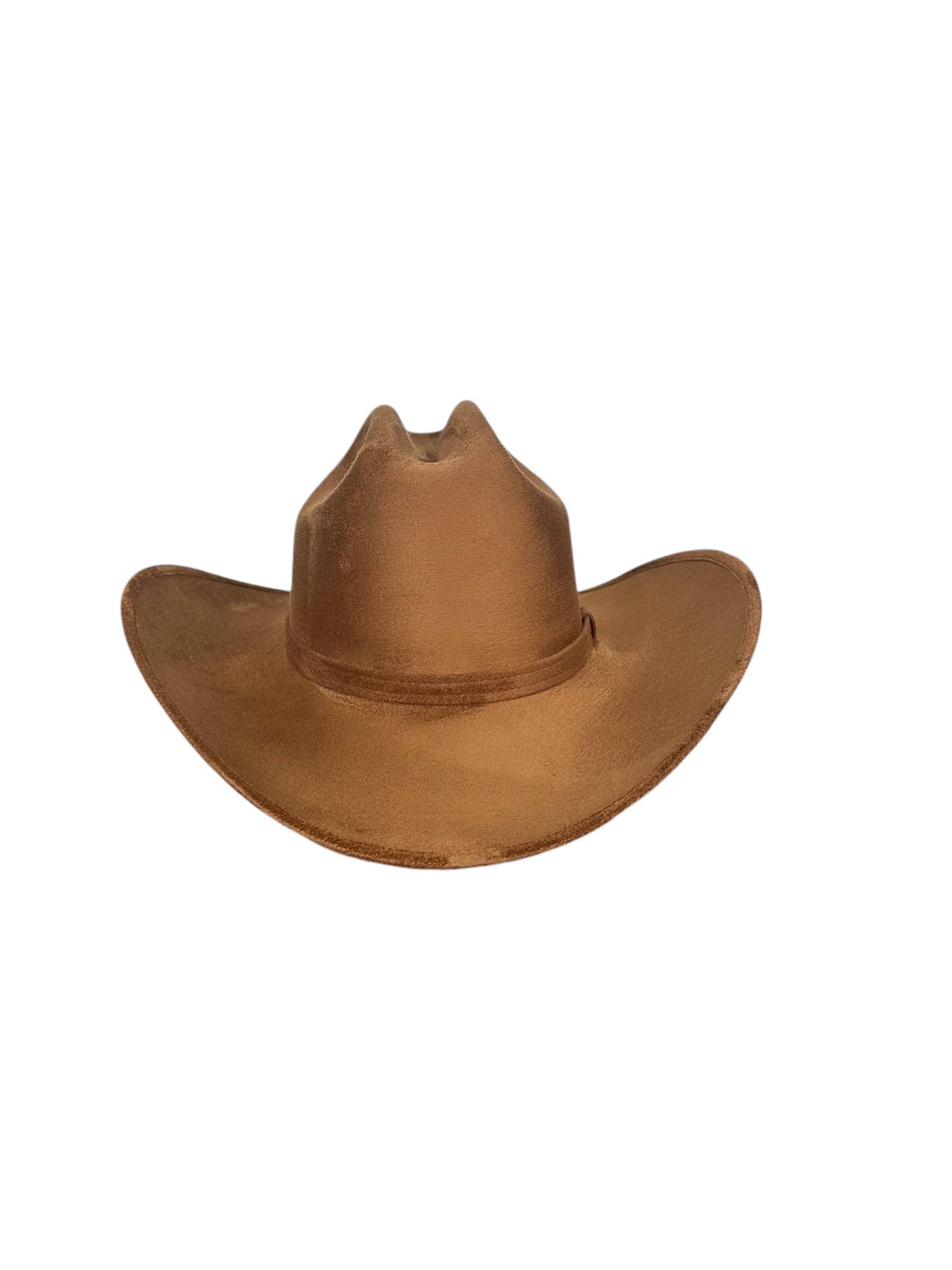 SMALL Adult  Yellowstone Hat